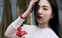 草蜢电影在线观看